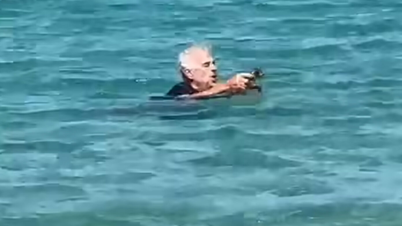 Γάλλος επισκέπτης βούτηξε στο νερό για να διασώσει γατάκι – Δείτε το συγκλονιστικό βίντεο