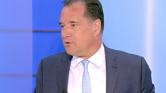Γεωργιάδης: Ο Ανδρουλάκης επιδιώκει να γίνει ο νέος ΣΥΡΙΖΑ του 2015 – Η πρόταση για τα βοσκοτόπια προέρχεται από τωρινό σύμβουλό του