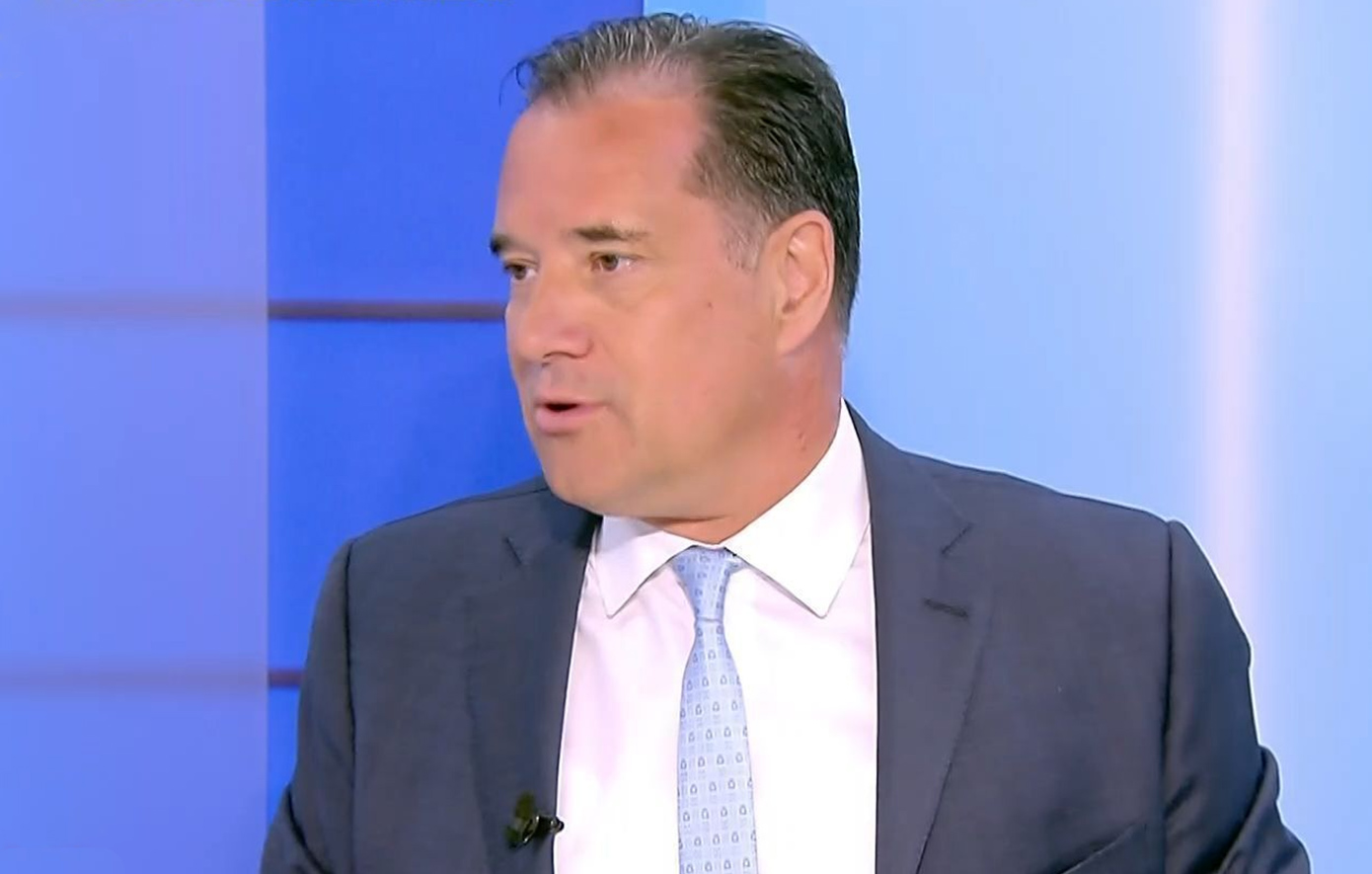 Γεωργιάδης: Ο Ανδρουλάκης επιδιώκει να γίνει ο νέος ΣΥΡΙΖΑ του 2015 – Η πρόταση για τα βοσκοτόπια προέρχεται από τωρινό σύμβουλό του