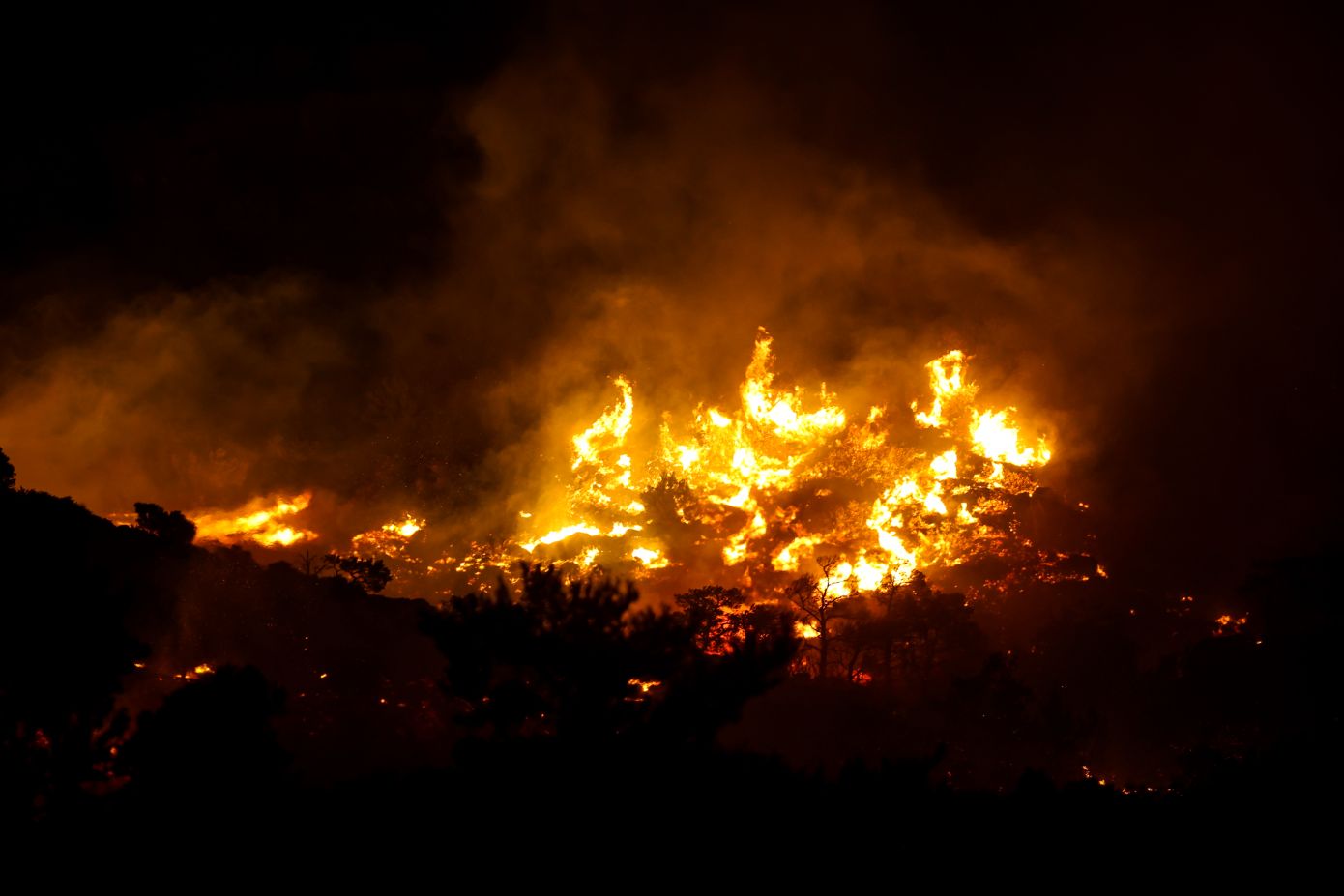 Σε τρία ενεργά μέτωπα μαίνεται η καταστροφική φωτιά στην Ιεράπετρα – Εκκενώθηκαν οικισμοί και ξενοδοχεία, κάηκαν κατοικίες