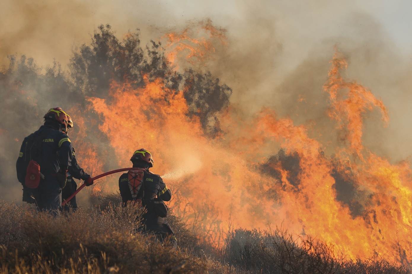 Αδιάκοπη μάχη με τις αναζωπυρώσεις για τρίτο 24ωρο στην Ιεράπετρα – Οι πληγείσες περιοχές κηρύχθηκαν σε κατάσταση συναγερμού