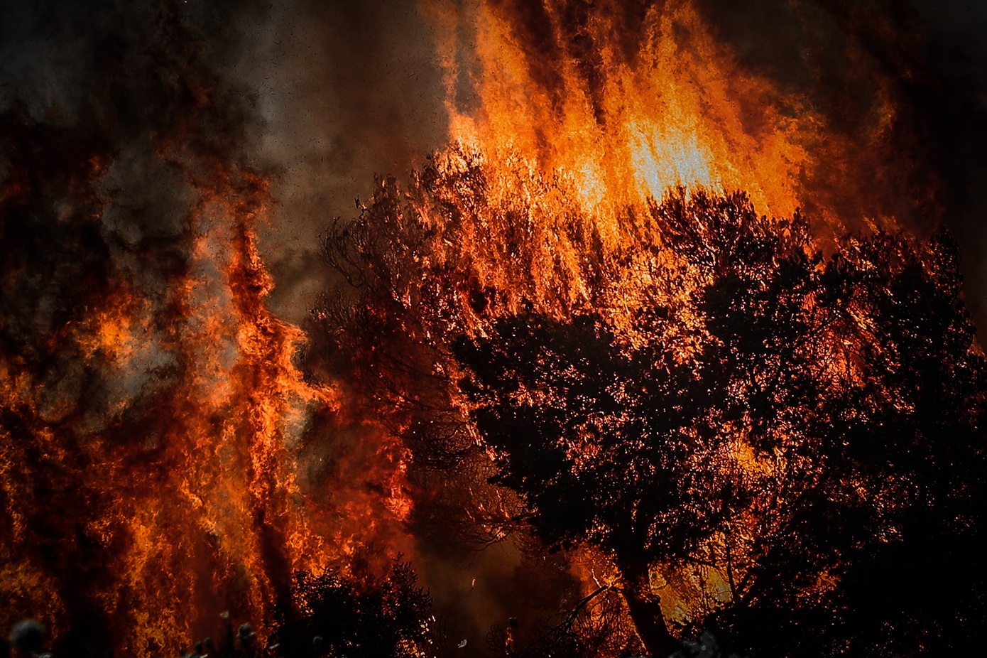 Σε ύφεση η φωτιά στη Ραφήνα: Κάηκαν σπίτια, εκκενώθηκαν οικισμοί, απομακρύνθηκαν εκατοντάδες κάτοικοι – Συναγερμός για αναζωπυρώσεις