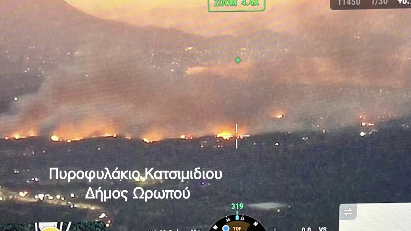 Ωρωπός: Η θέα της πυρκαγιάς από το παρατηρητήριο του Κατσιμιδίου στην Πάρνηθα