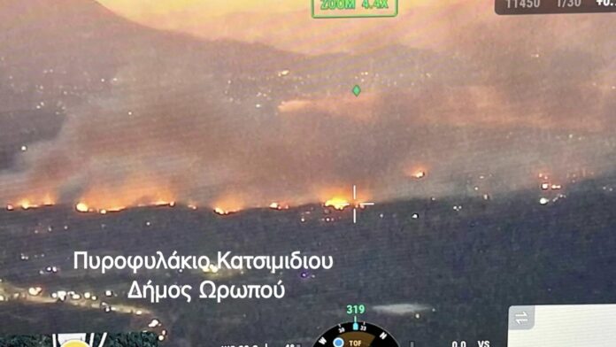 Ωρωπός: Η θέα της πυρκαγιάς από το παρατηρητήριο του Κατσιμιδίου στην Πάρνηθα