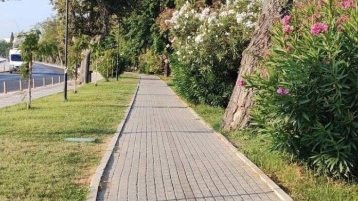 Δ.Κ.Κέρκυρας: Ανοιχτή συζήτηση για το Άλσος Γαρίτσας και Ανεμομύλου