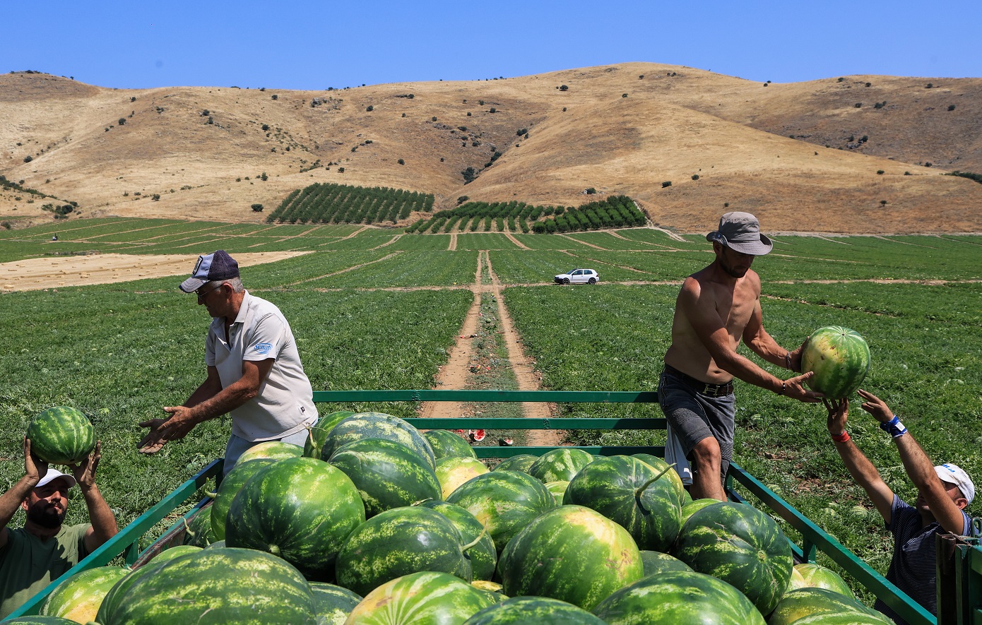 Reuters: Ο «Βούλγαρος», οι νυχτερινές ψεκαστικές αποστολές και η καύση δοχείων – Η δράση της μαφίας φυτοφαρμάκων στην Ελλάδα
