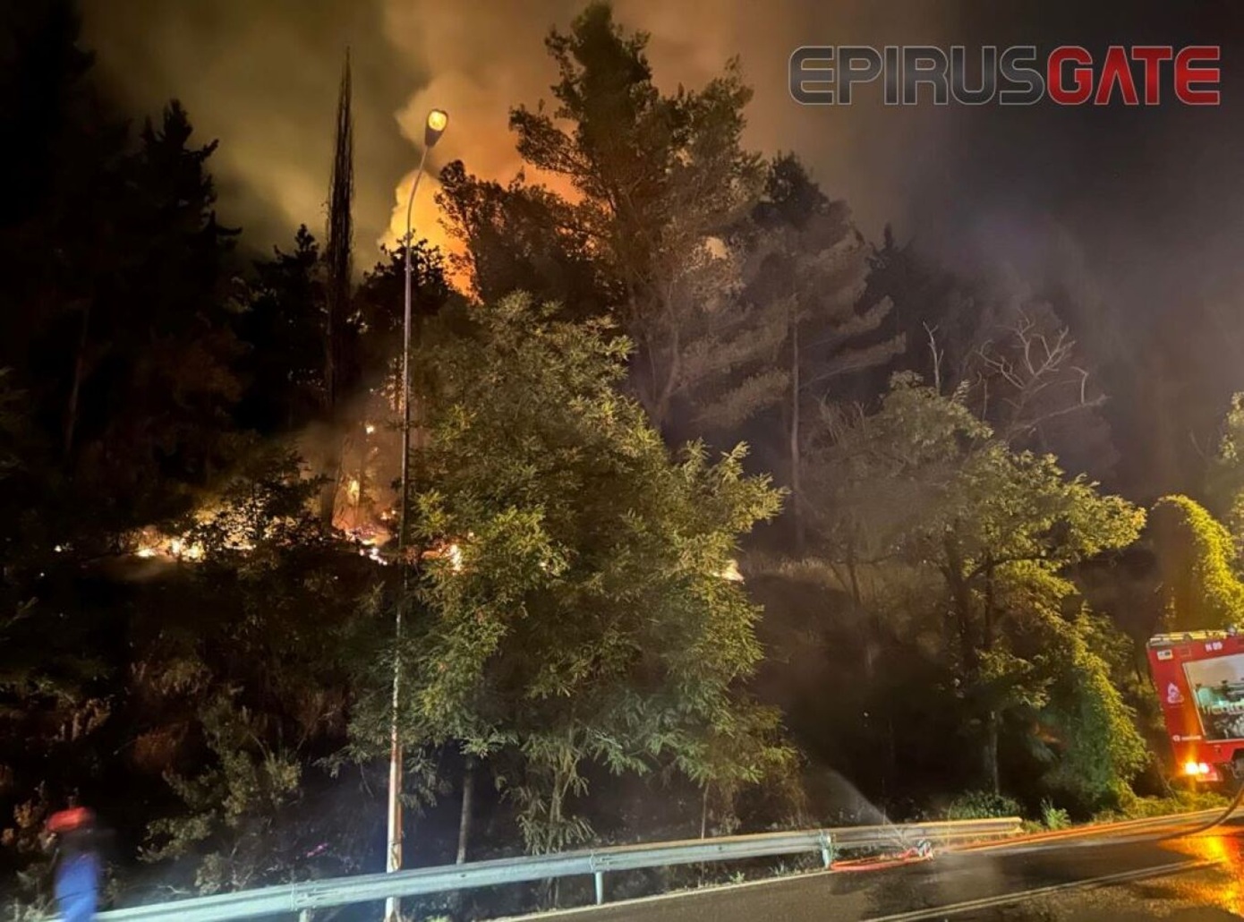 Φωτιά σε δάσος των Ιωαννίνων – Σε ετοιμότητα η Πυροσβεστική