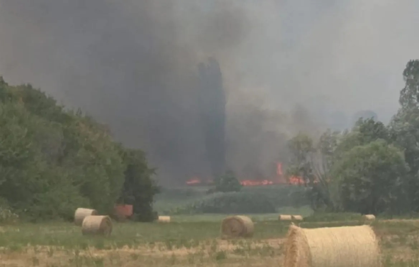 Η φωτιά στο Βαρικό Φλώρινας εξαπλώνεται – Ισχυρές πυροσβεστικές δυνάμεις επιχειρούν στο δάσος
