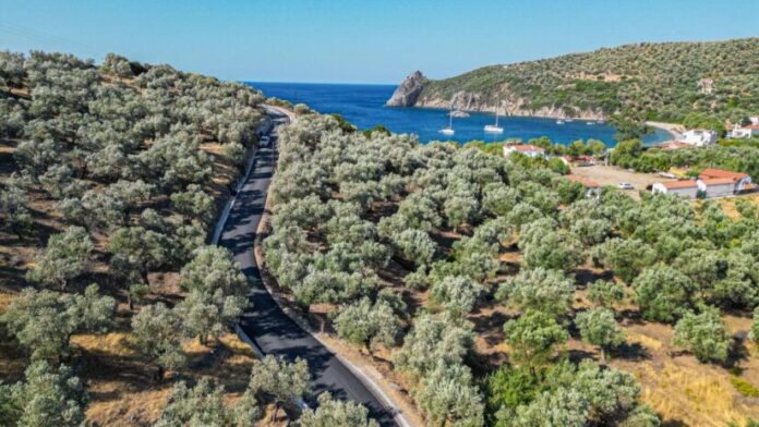 Ο Δήμαρχος Μυτιλήνης επιθεωρεί τα έργα οδοποιίας στην περιοχή Τάρτι