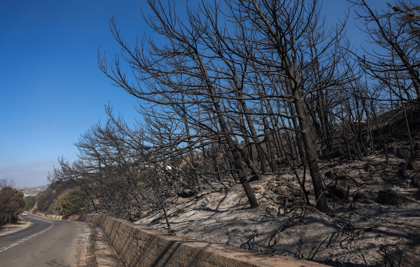 Ο Κατσαφάδος επισκέφθηκε τις πυρόπληκτες ζώνες της Ιεράπετρας για αυτοψία