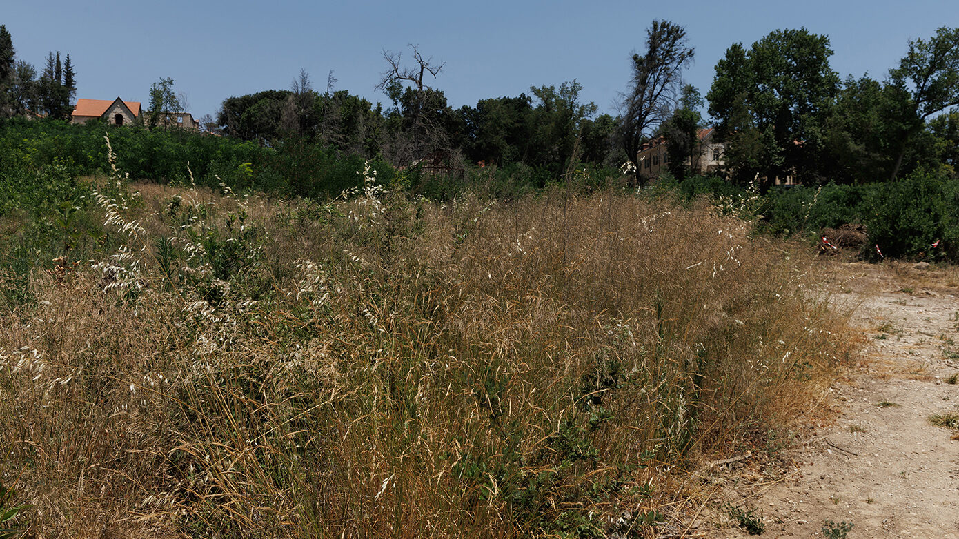 Ξεκίνησαν οι έλεγχοι σε ακαθάριστα οικόπεδα από την Πυροσβεστική – 3.748 καταγγελίες πολιτών σε μόλις 18 ημέρες