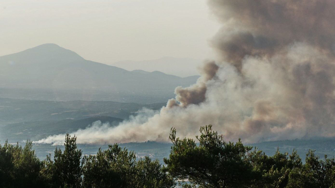 Ιδανικές για κολύμπι οι ακτές του Δήμου Ωρωπού