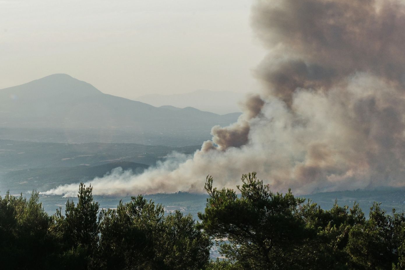 Πυρκαγιά στο Ασπροχώρι Ωρωπού: Αντιμέτωποι με αναζωπυρώσεις, επιχειρούν τα εναέρια μέσα