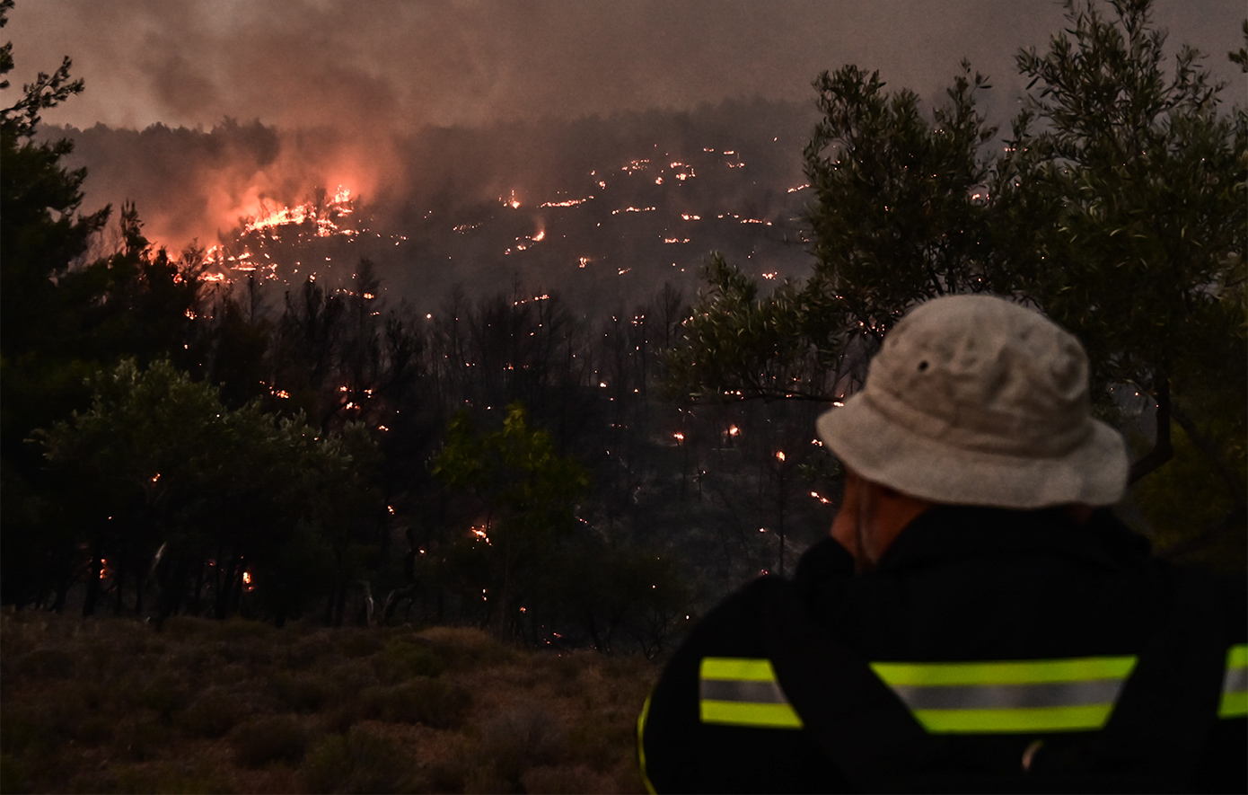 Φωτιά στον Ωρωπό: Σημαντικές ζημιές στο Ασπροχώρι, καταστράφηκε μεγάλο τμήμα του δάσους