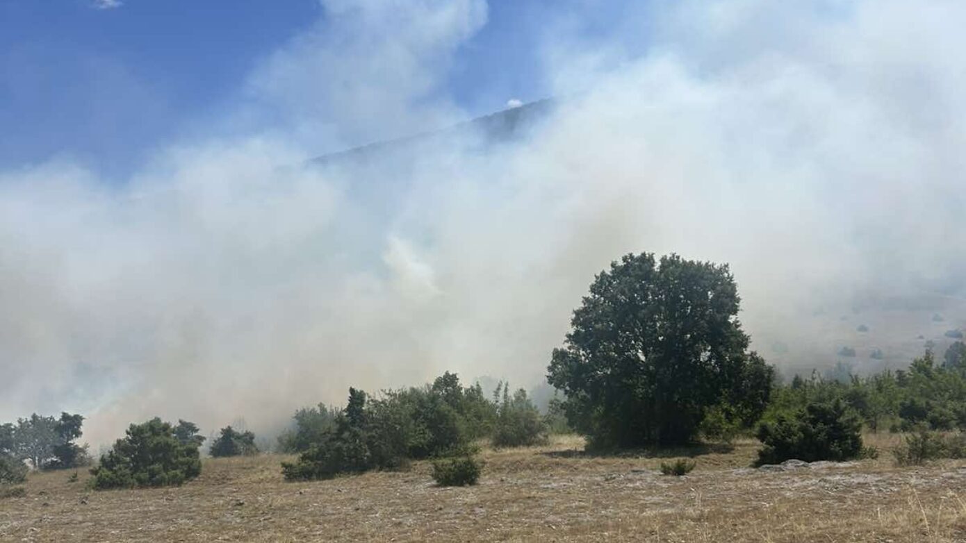 Πυρκαγιά στην Κοζάνη, κοντά στην Παναγία Δρεπάνου – Ισχυροί άνεμοι πνέουν