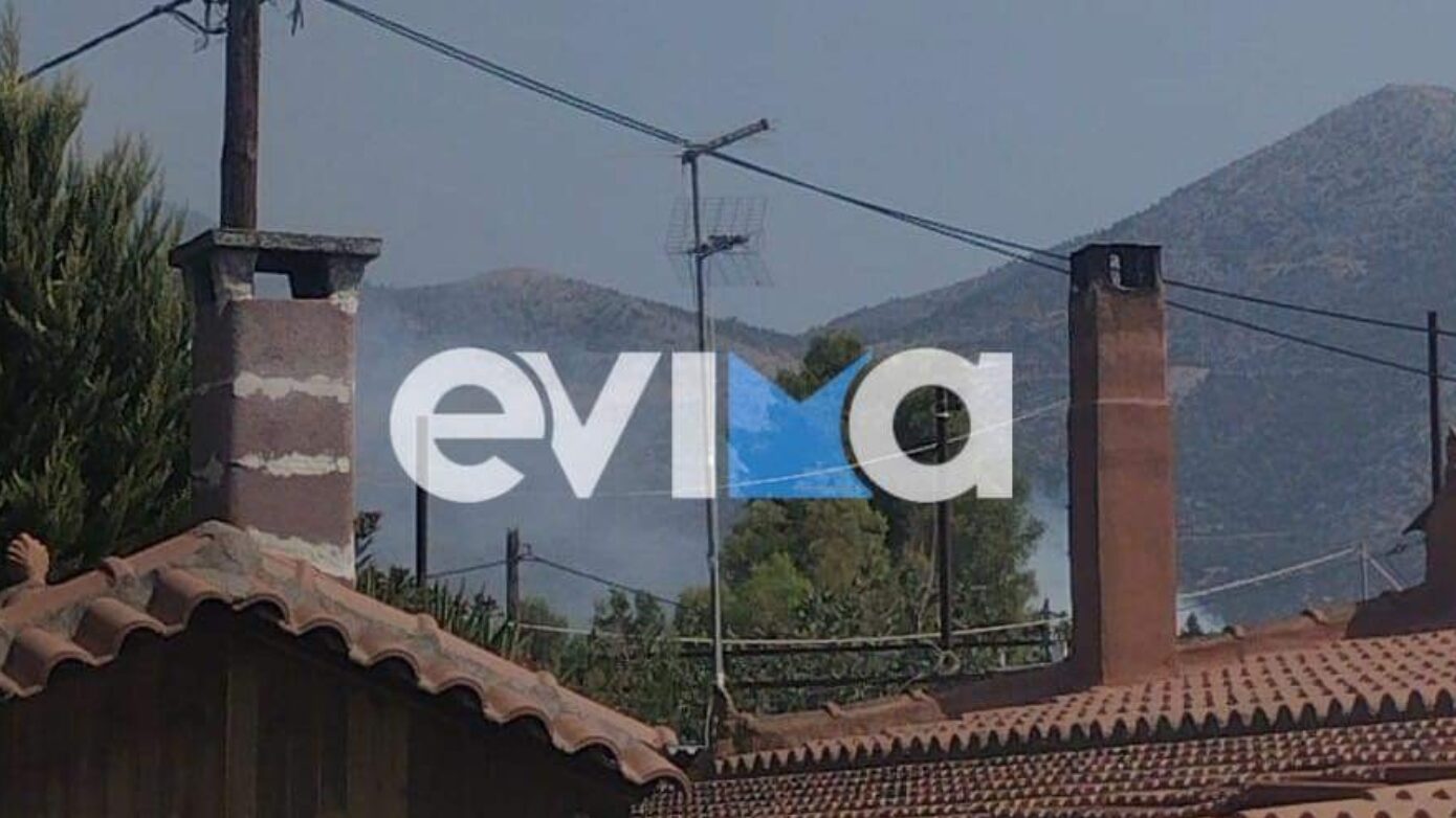 Πυρκαγιά στην Εύβοια, στο χωριό Αργυρό – Ξεκίνησε σε αυλή κατοικίας