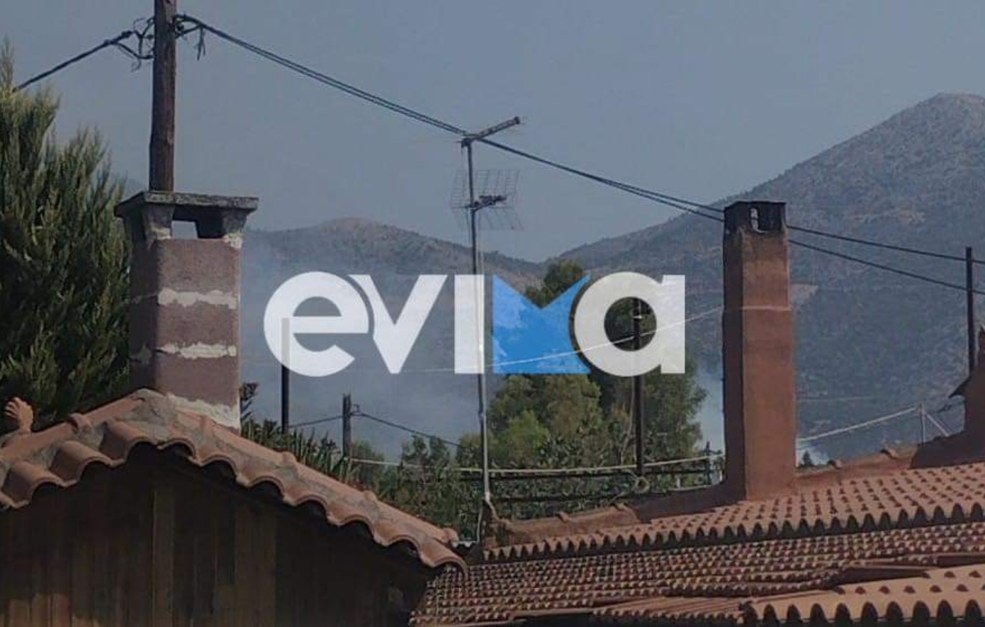 Πυρκαγιά στην Εύβοια, στο χωριό Αργυρό – Ξεκίνησε σε αυλή κατοικίας