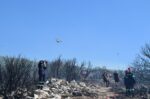 Πώς ξεκίνησε η πυρκαγιά στους πρόποδες του Υμηττού – Τα πιθανά σενάρια υπό διερεύνηση
