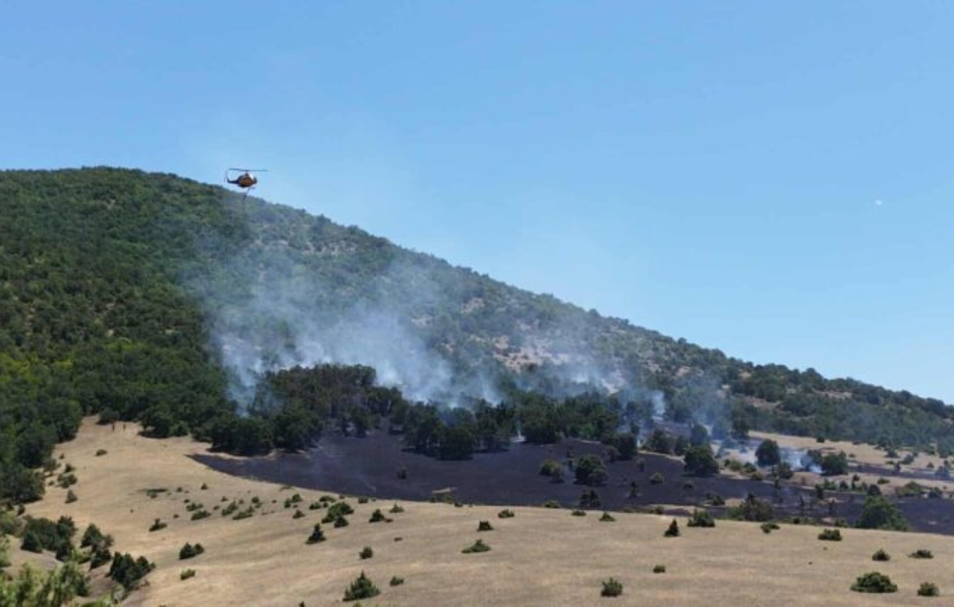 Κοζάνη: Χειροπέδες σε 75χρονο για την πυρκαγιά στο Δρέπανο