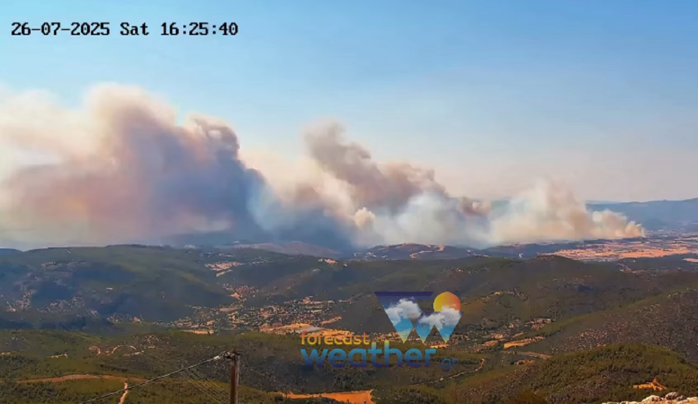 Καρέ-καρέ η πυρκαγιά στην Εύβοια – Βίντεο αποκαλύπτει το ξέσπασμα της φωτιάς