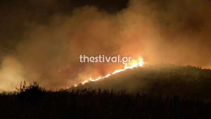Θεσσαλονίκη: Νυχτερινή πάλη με τις φωτιές στην Άσηρο – Κατεπείγον σήμα από το 112