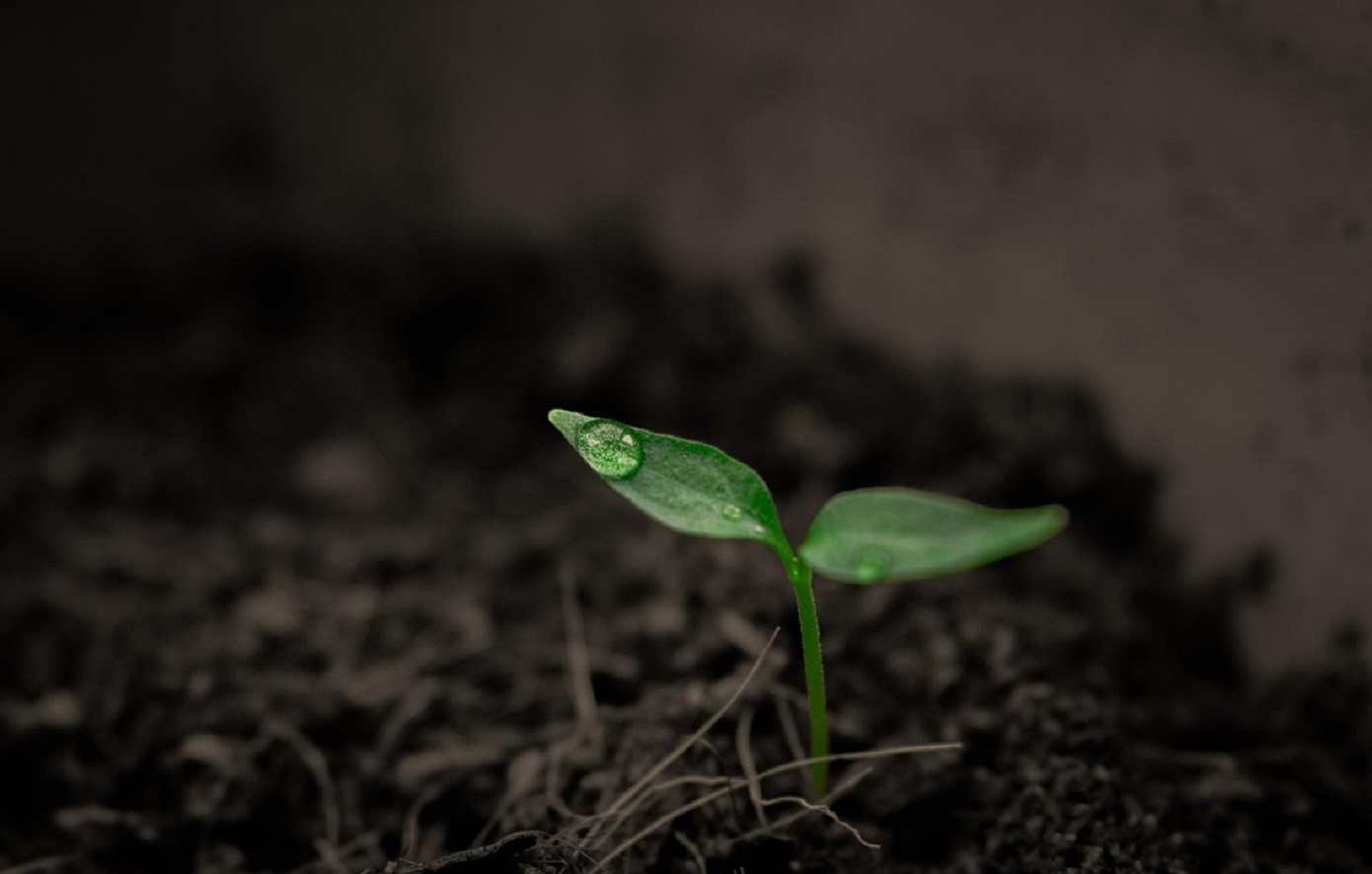Ξεκινά η δημόσια διαβούλευση για το εθνικό Κοινωνικό Κλιματικό Πλάνο – Χρηματοδότηση 4,7 δισ. ευρώ έως το 2032