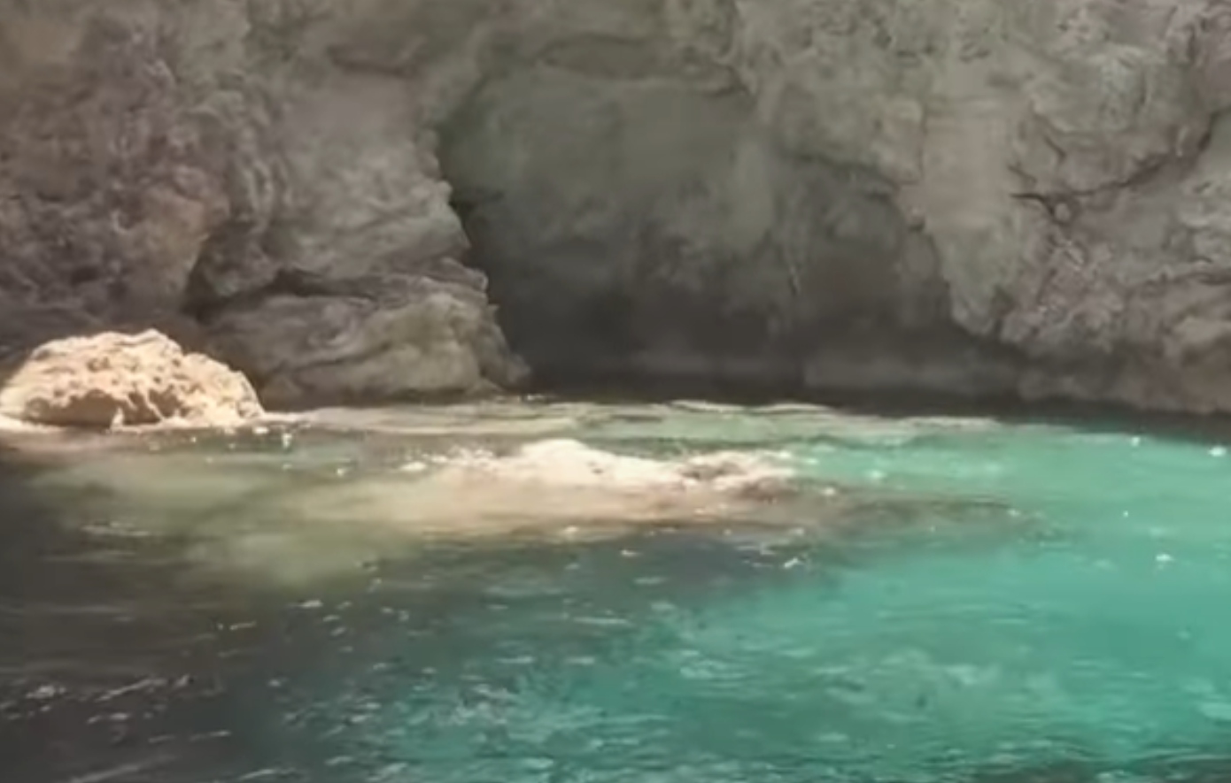 Βίντεο Παπασταύρου για Θαλάσσια Πάρκα: Η έκτασή τους ξεπερνά τις αρχικές υποσχέσεις – Θα δημιουργήσουμε και νέα