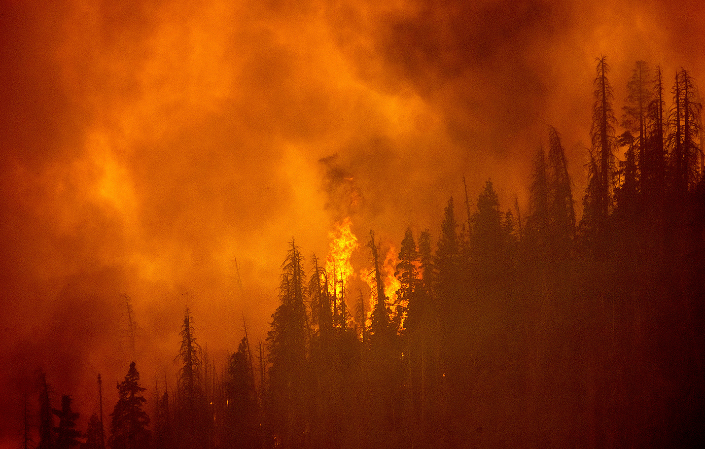 Υψηλός κίνδυνος πυρκαγιών αύριο σε Αττική και 4 επιπλέον νομούς – Θερμοκρασία και άνεμοι δημιουργούν εκρηκτικό μείγμα
