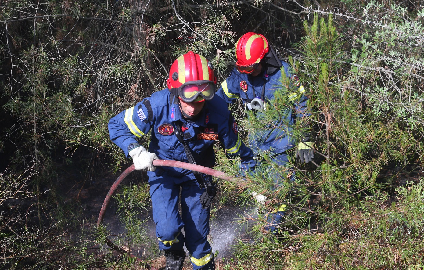 Κατά 90% έως 95% λιγότερα καμένα δάση φέτος – Ρεκόρ προσωπικού στην Πυροσβεστική