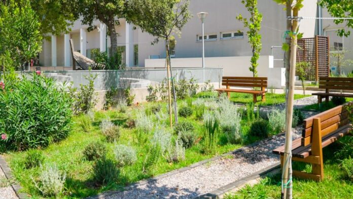 Χ. Δούκας: «Με πράσινες λύσεις, αναβαθμίζουμε τις μικροκλιματικές συνθήκες»