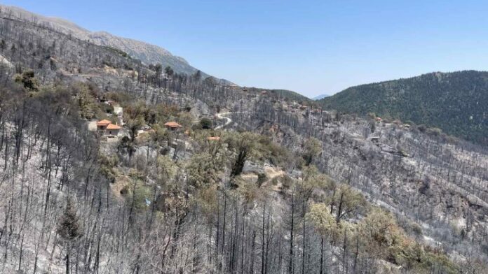 Δ.Σικυωνίων: Ένα “ευχαριστώ” σε όσους μας στήριξαν στη μεγάλη πυρκαγιά