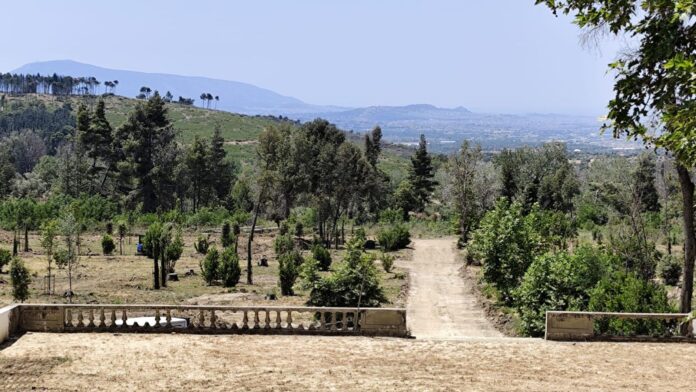 Προχωρούν δυναμικά τα έργα στο πρώην βασιλικό κτήμα Τατοΐου με στόχο ολοκλήρωσης των μουσειακών υποδομών το 2026