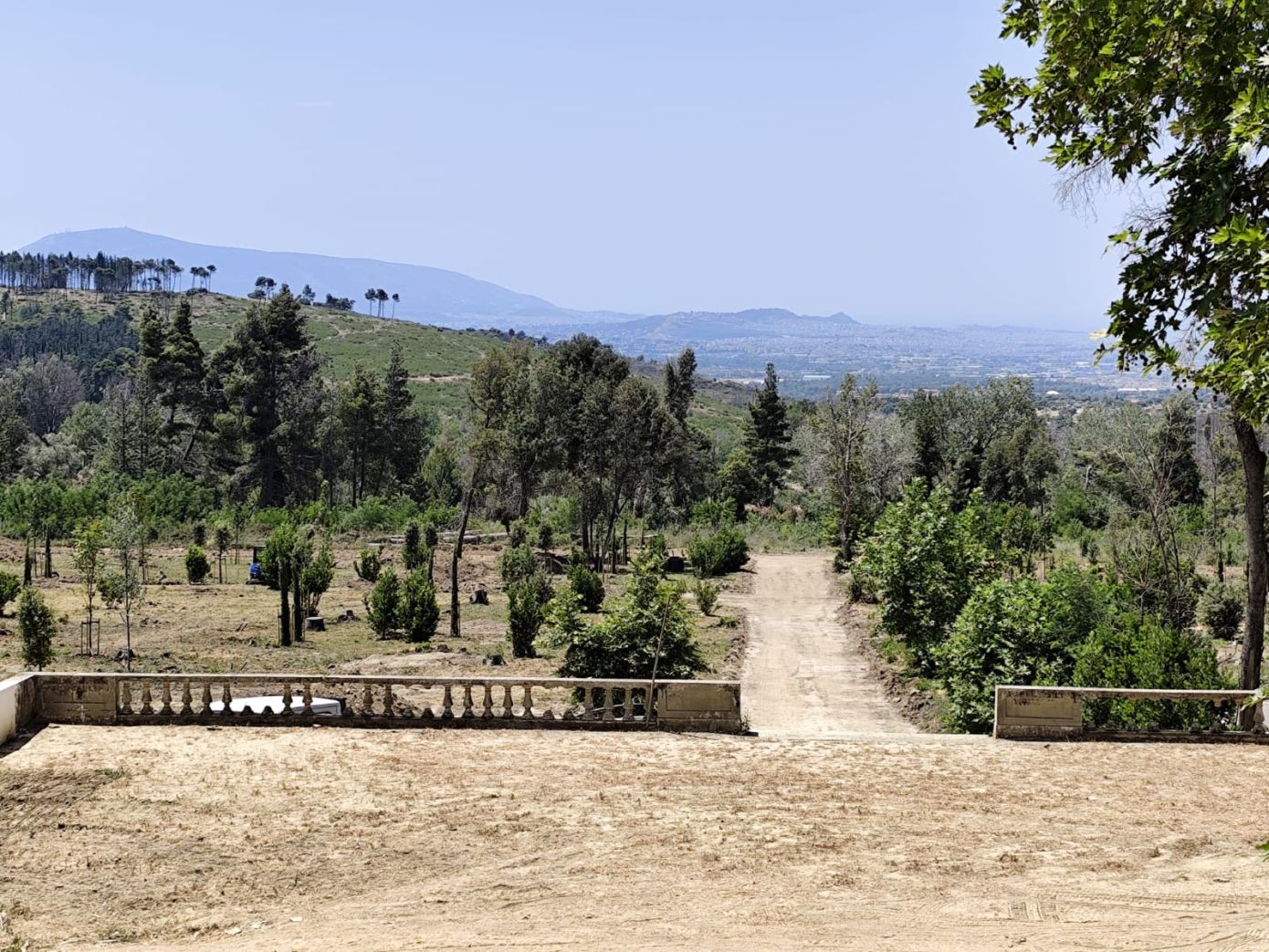 Προχωρούν δυναμικά τα έργα στο πρώην βασιλικό κτήμα Τατοΐου με στόχο ολοκλήρωσης των μουσειακών υποδομών το 2026