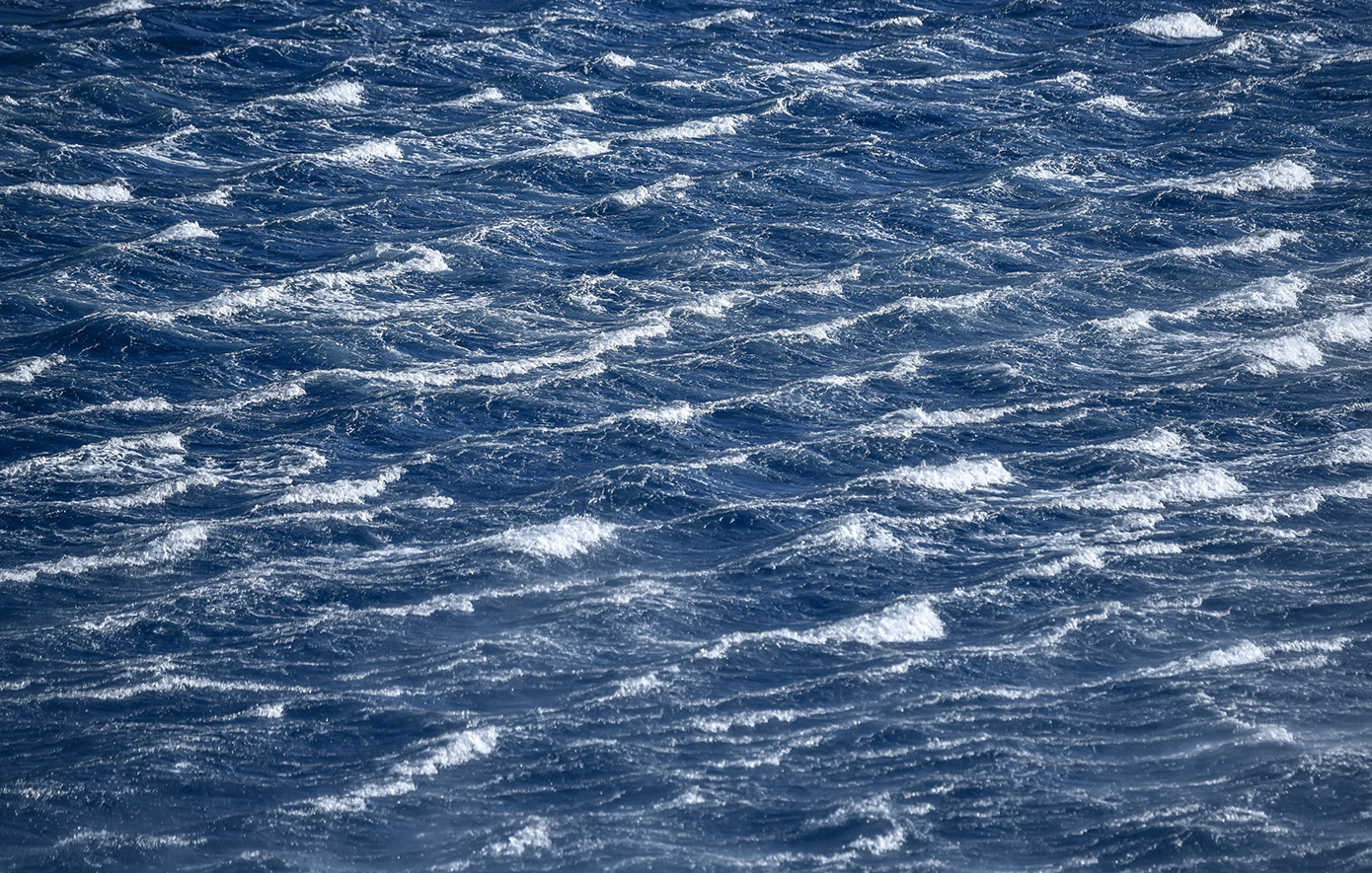 Αστυνομικοί εκτός υπηρεσίας διέσωσαν οικογένεια Ιταλών και έναν Σέρβο τουρίστα στη Χαλκιδική