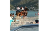 Συγκλονιστικό βίντεο από τον τραυματισμό 5χρονου από άλογο σε παραλία της Θάσου