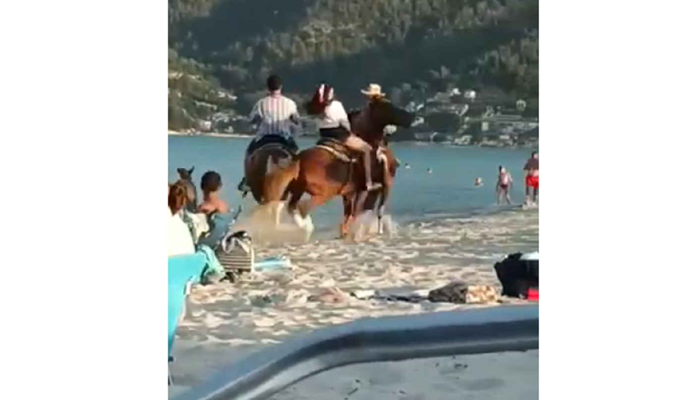 Συγκλονιστικό βίντεο από τον τραυματισμό 5χρονου από άλογο σε παραλία της Θάσου