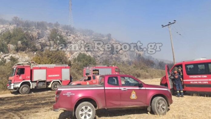 Μεγάλη πυρκαγιά μαίνεται στη Λάρυμνα Φθιώτιδας – Σηκώθηκαν εναέρια μέσα