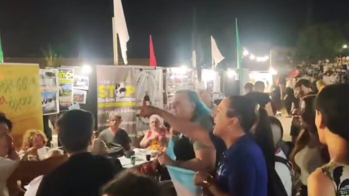 Τρανς γυναίκες και φεμινίστριες σε δράση στο Αντιρατσιστικό Φεστιβάλ – Βίντεο από την αναταραχή
