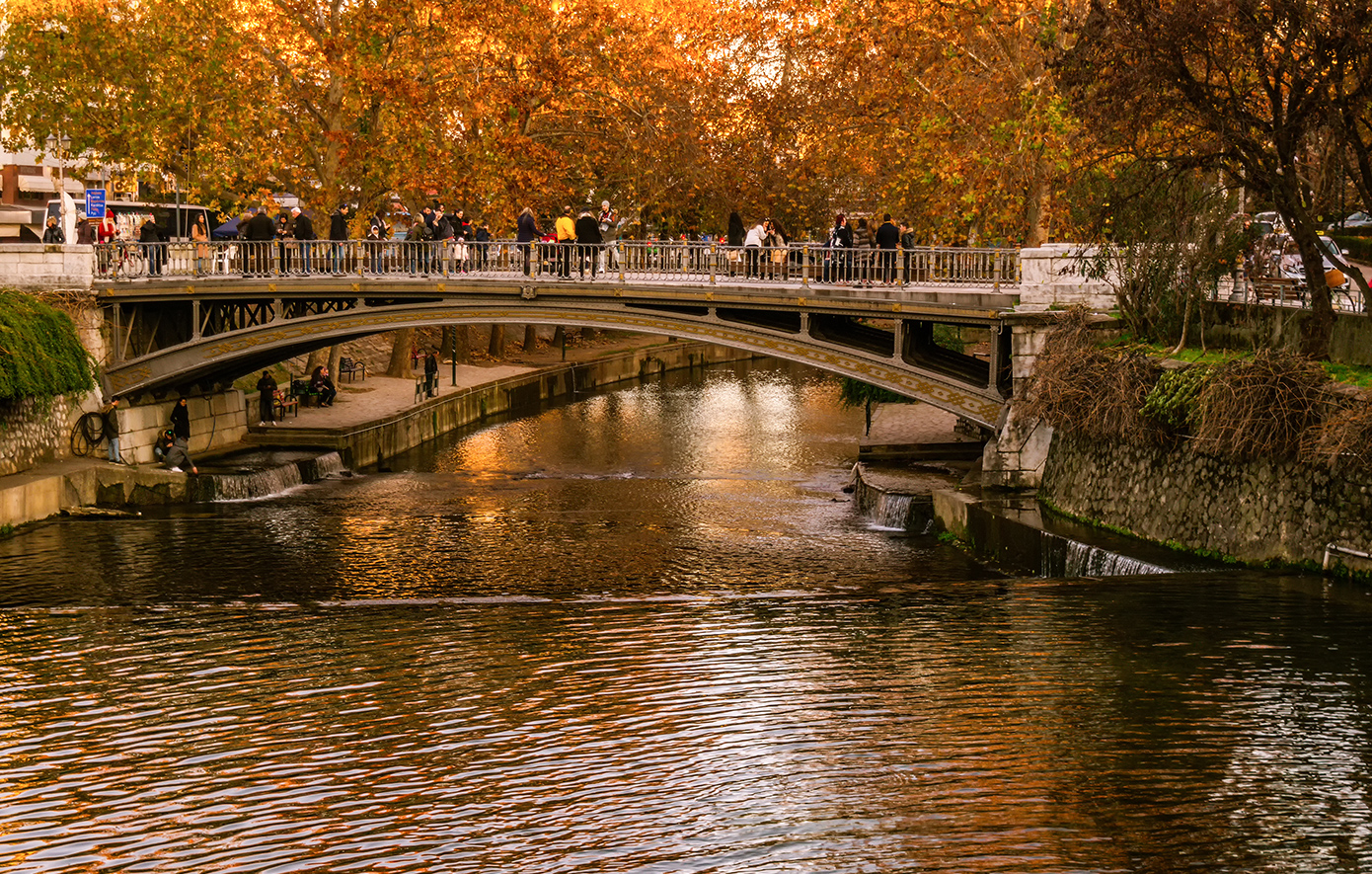 Ξεκινά το Thessaly Evros Pass 2025: Ποιοι μπορούν να λάβουν τις ηλεκτρονικές κάρτες των 150 και 200 ευρώ