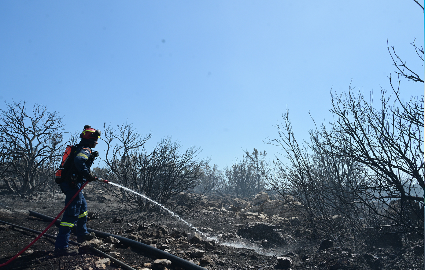 Μελίσσια προκάλεσαν πυρκαγιά στους πρόποδες του Υμηττού: Αδήλωτα και με πρόστιμα