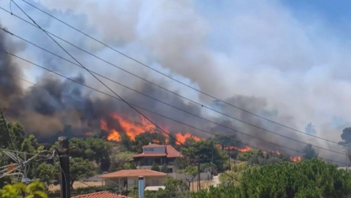 «Τη φωτιά στο Κορωπί 1000% κάποιος την άναψε – Ξεκίνησε από τα σκουπίδια»: Σοκαριστική μαρτυρία