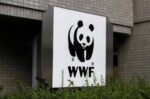 WWF για τα θαλάσσια πάρκα που εξήγγειλε ο Μητσοτάκης: «Αναμφισβήτητα μια εξαιρετική πρωτοβουλία της κυβέρνησης»
