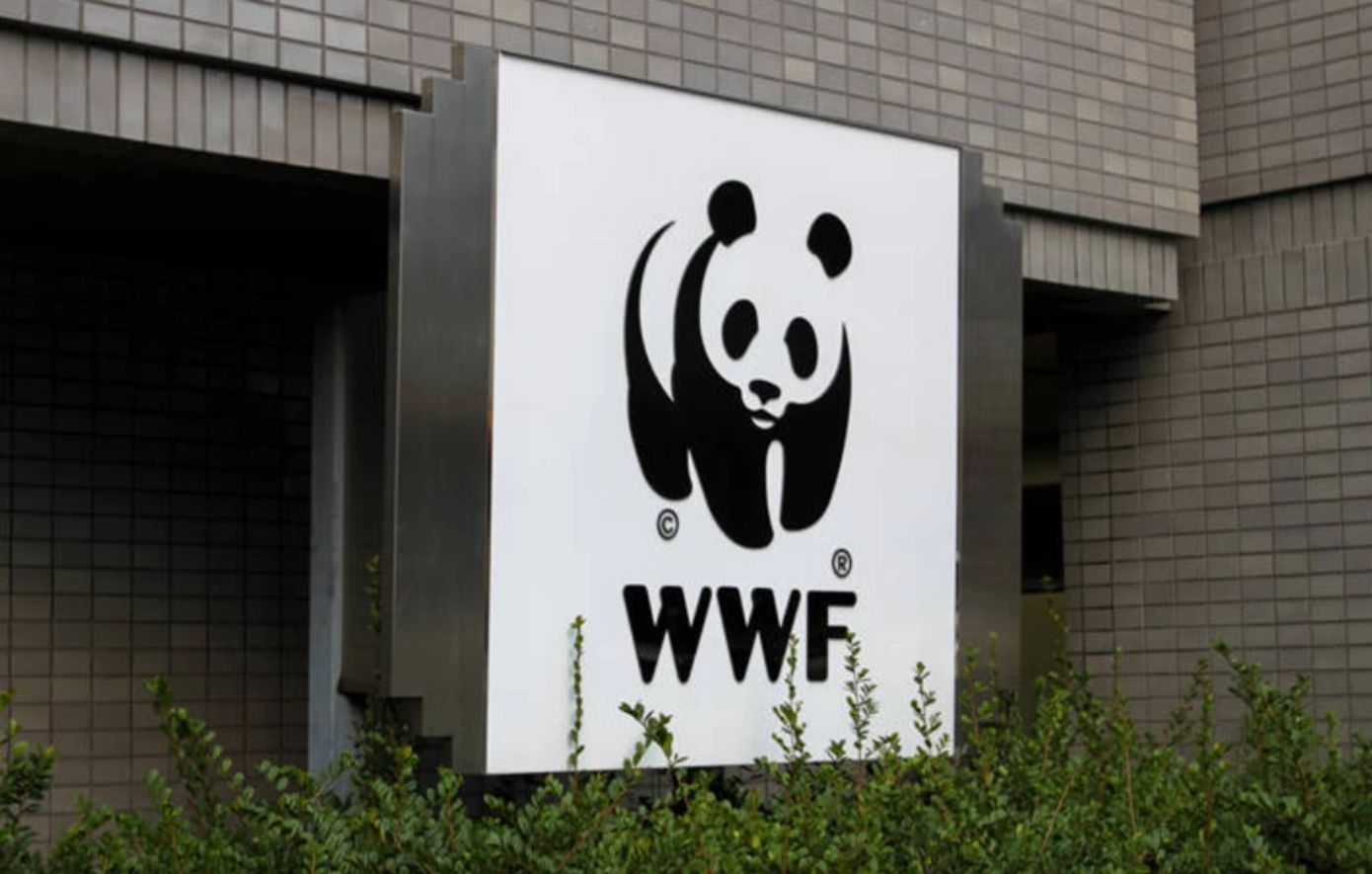 WWF για τα θαλάσσια πάρκα που εξήγγειλε ο Μητσοτάκης: «Αναμφισβήτητα μια εξαιρετική πρωτοβουλία της κυβέρνησης»