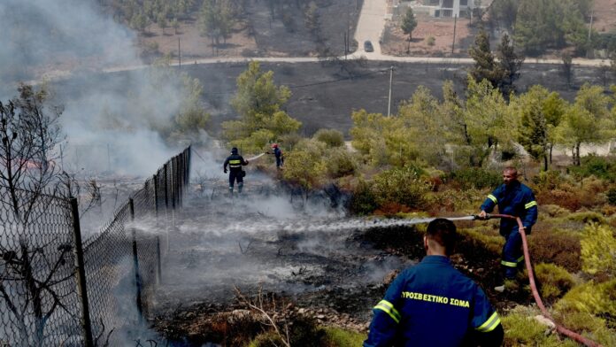 Ελέγχθηκε η πυρκαγιά στην Παλαιομάνινα – 42 δασικές φωτιές σε όλη τη χώρα το τελευταίο 24ωρο