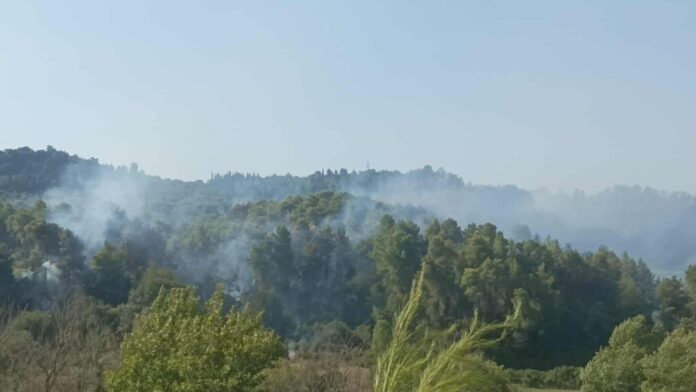 Η φωτιά στο Χελιδόνι Ηλείας υπό έλεγχο – Ο Ν. Φαρμάκης επαίνεσε πυροσβέστες και εθελοντές