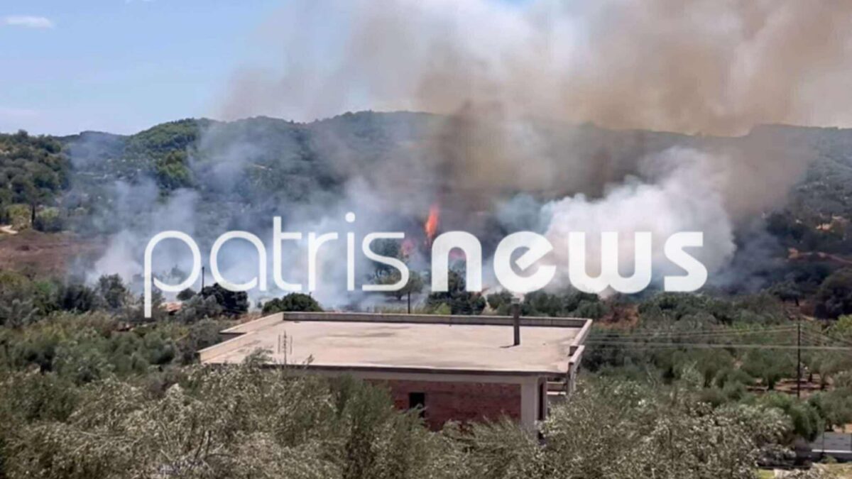 Η φωτιά στον Ελαιώνα Πύργου τέθηκε υπό έλεγχο – Η άμεση δράση της Πυροσβεστικής προστάτευσε κατοικίες από τις φλόγες