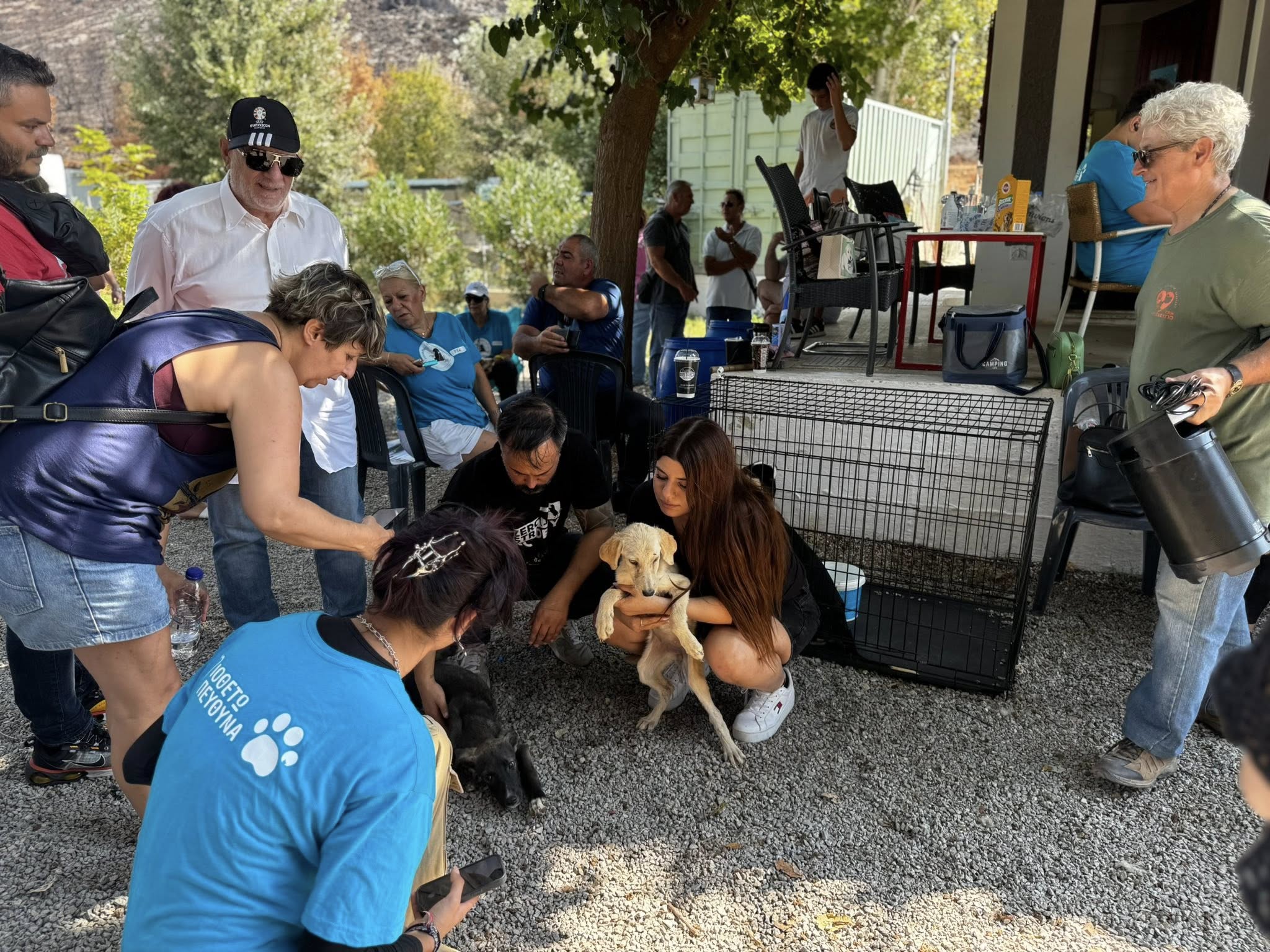 “Ημέρα Υιοθεσίας Κατοικίδιων από τον Δήμο Χαλκιδέων!”