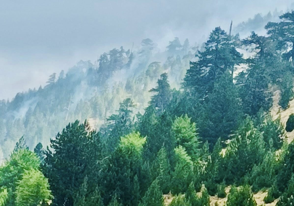 Η πυρκαγιά μαίνεται στη Βάλια Κάλντα: Καχριμάνης ζητά εναέρια υποστήριξη