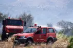Σύλληψη υπόπτου για πυρκαγιές στην Πάτρα – Αντιστάθηκε και επιχείρησε να διαφύγει