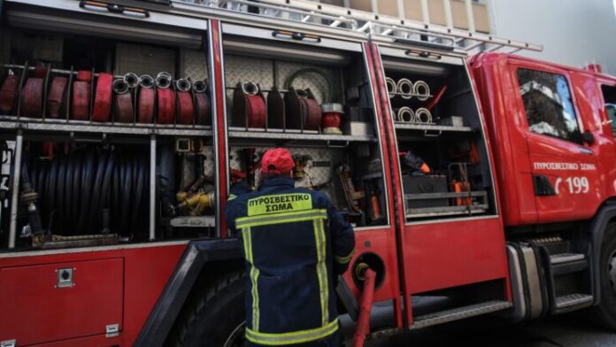 Πυρκαγιά σε αγροτικό δάσος κοντά στη Μεγάλη Βόλβη